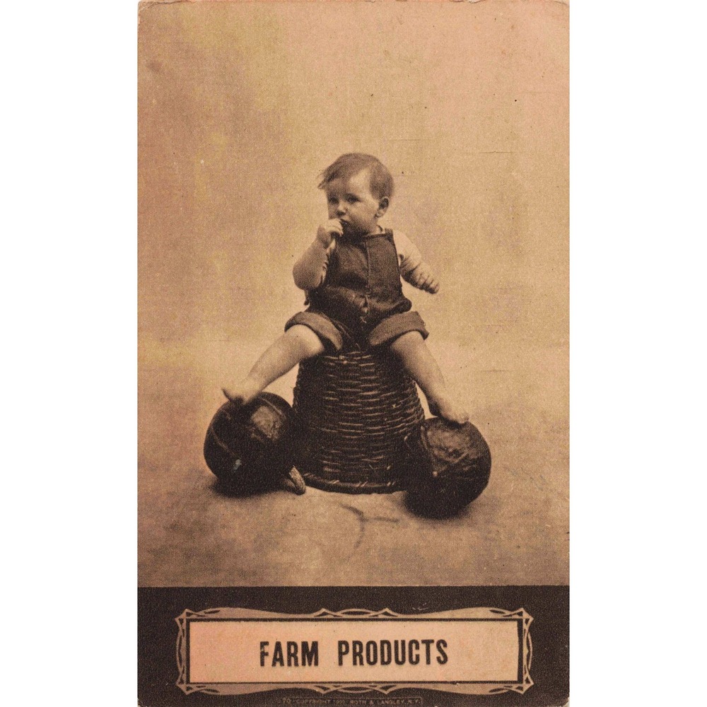 Vtg 1910 Divided Back Postcard Farm Products Child on Pumpkins Roth & Langley PA - Picture 1 of 2